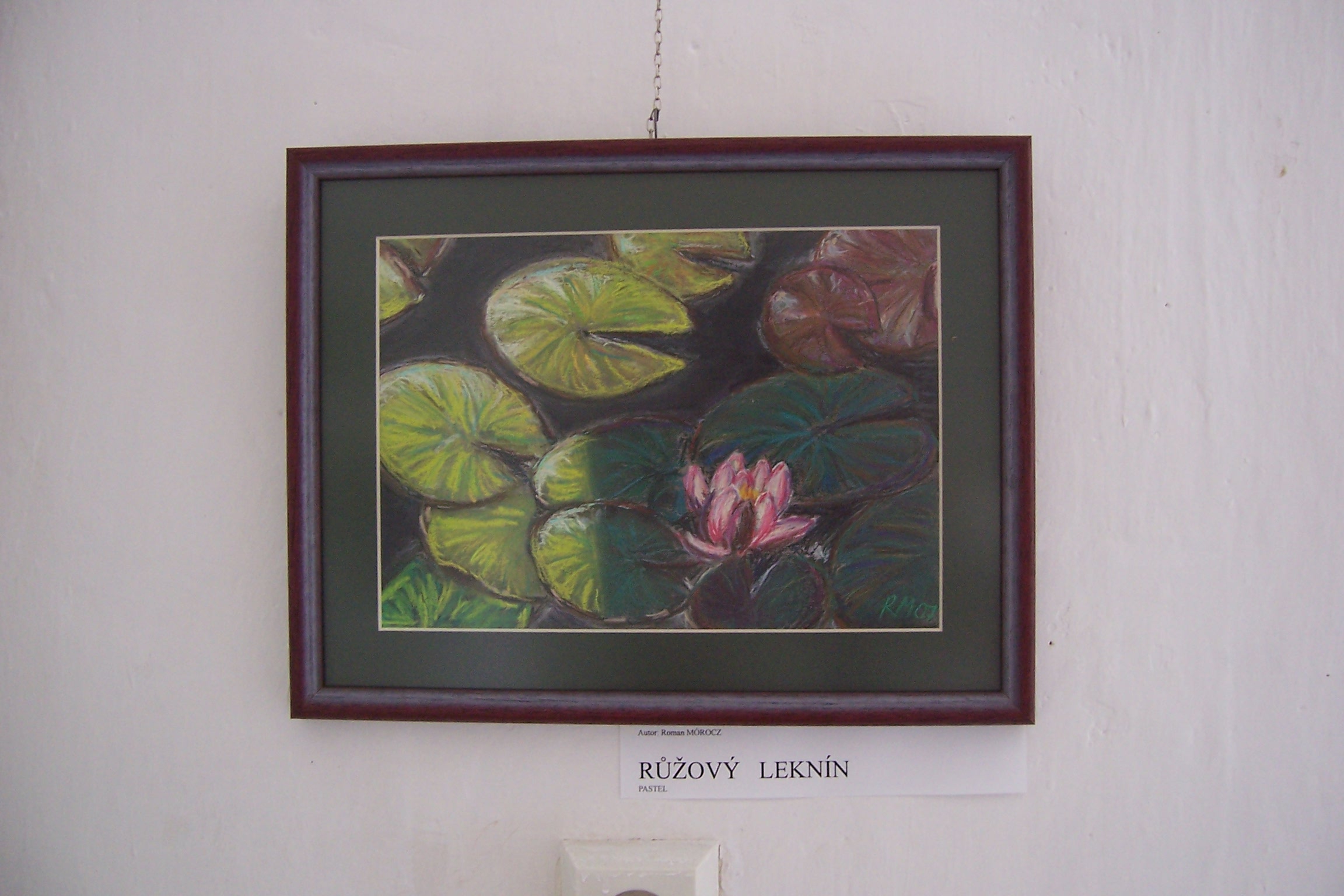 Růžový leknín.jpg